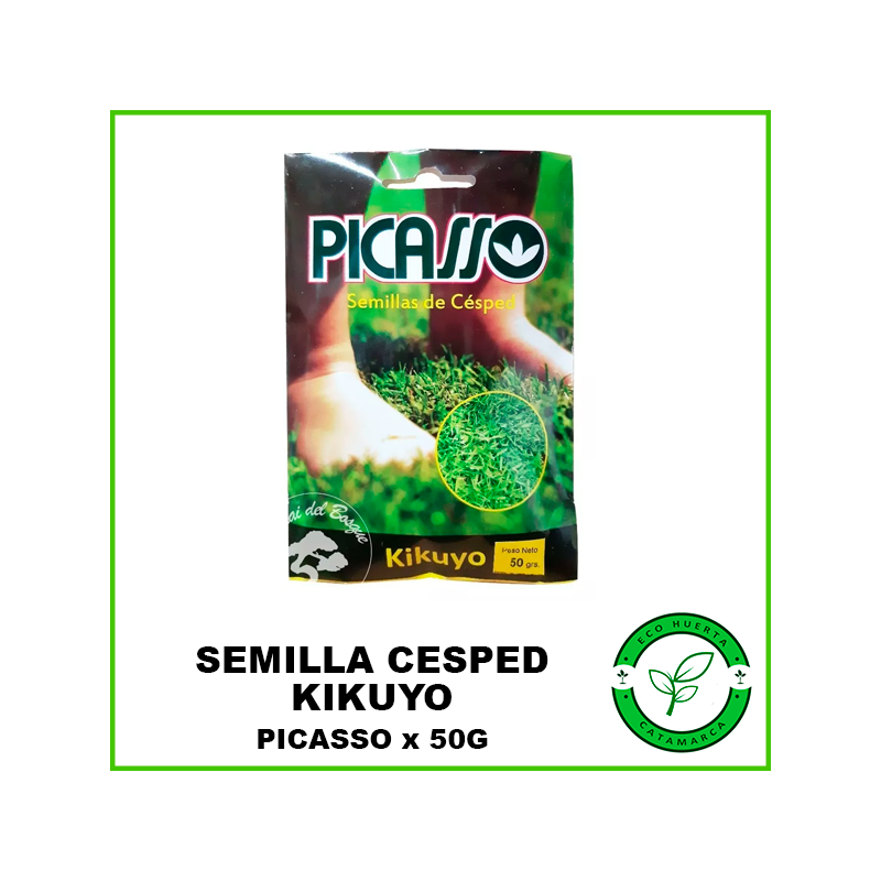 Semillas de Césped Kikuyo Picasso x 50 grs
