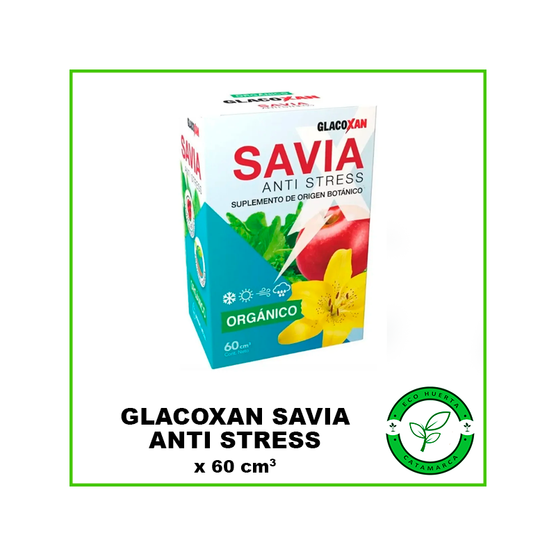 GlacoXan Savia x 60 cm3