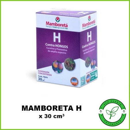 Mamboreta H x 30 cm3