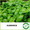 Albahaca