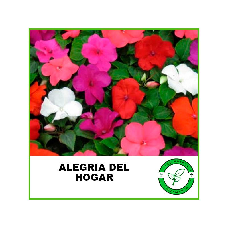 Alegria del Hogar