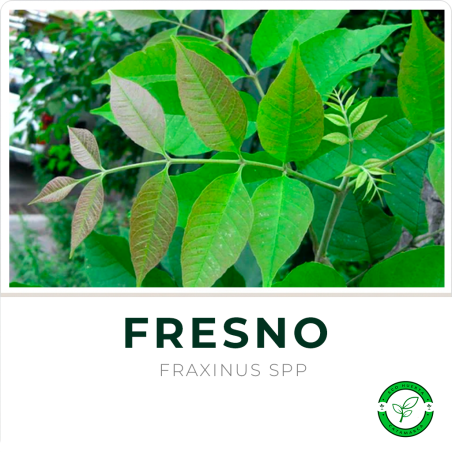 Fresno grande (2 mts aproximado)