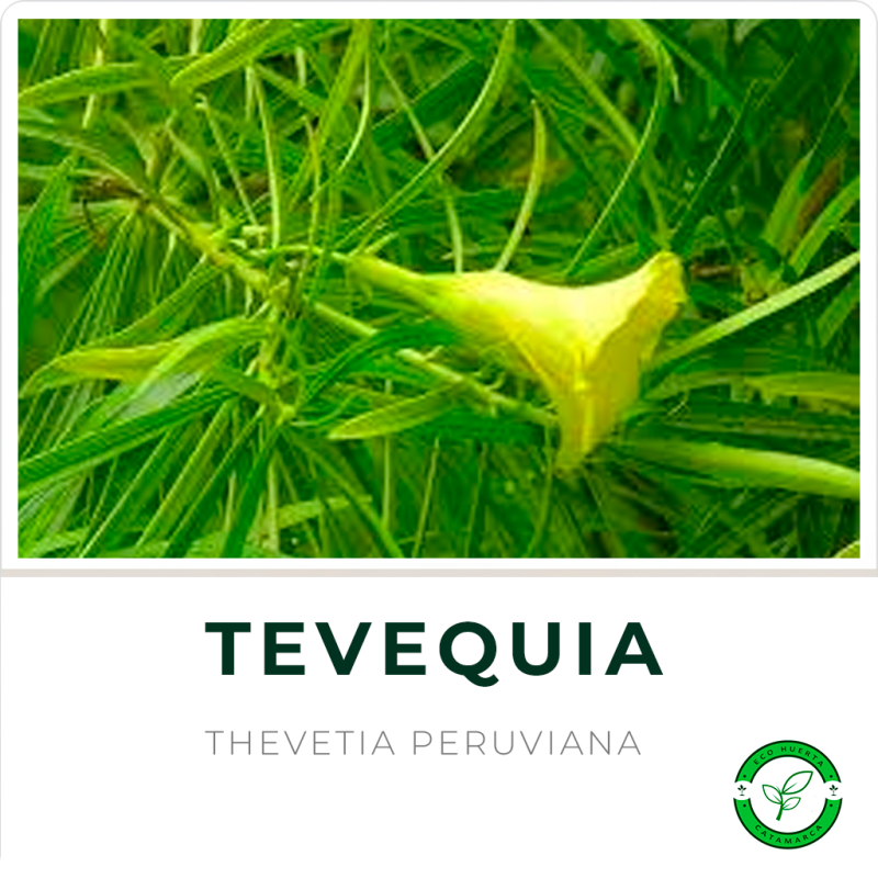 Tevequia