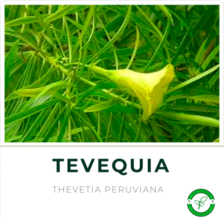 Tevequia