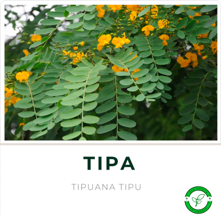 Tipa