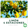 Limón 4 Estaciones