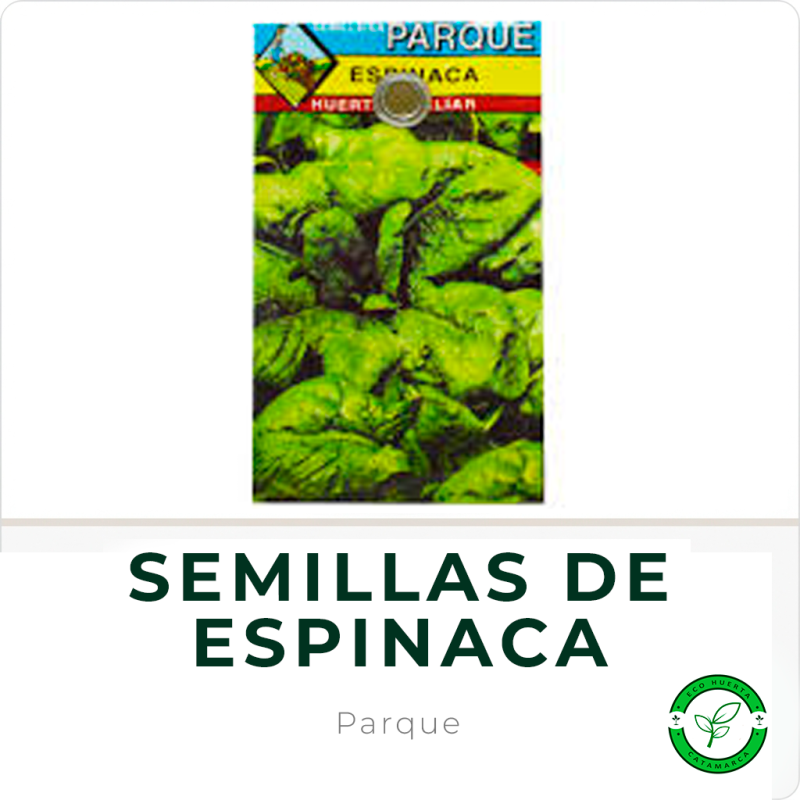 Semillas de Espinaca
