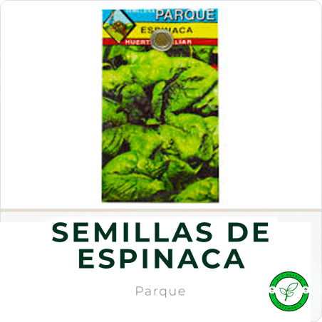 Semillas de Espinaca