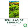 Semillas de Espinaca