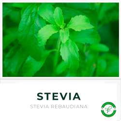 Stevia