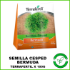 Semillas para Césped Bermuda Terrafertil x 100 Grs