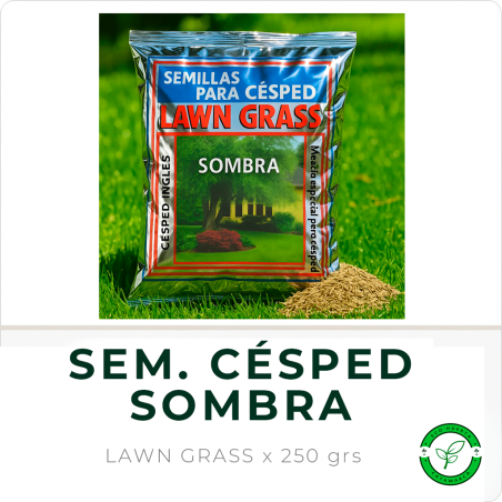 Semilla para Césped SOMBRA Law Grass x 250 grs