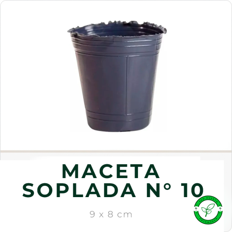 Maceta Soplada N° 10