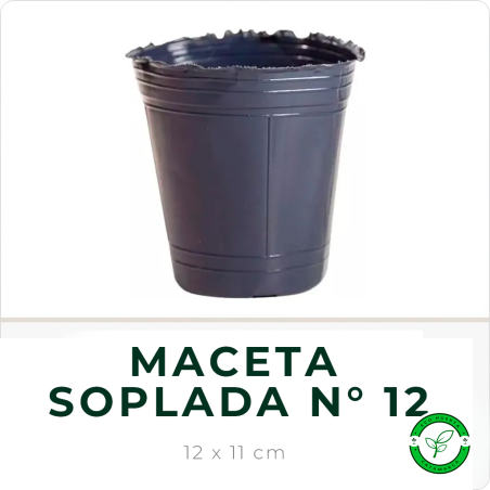 Maceta Soplada N° 12