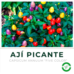 Ají Picante