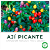 Ají Picante