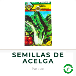 Semillas de Acelga Parque