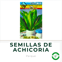 Semillas de Achicoria o Radicheta Parque