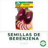 Semillas de Berenjena Parque