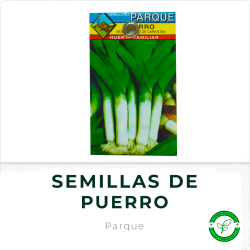 Semillas de Puerro Parque