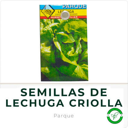Semillas de Lechuga Criolla de Verano Parque