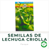 Semillas de Lechuga Criolla de Verano Parque