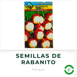 Semillas de Rabanito Parque