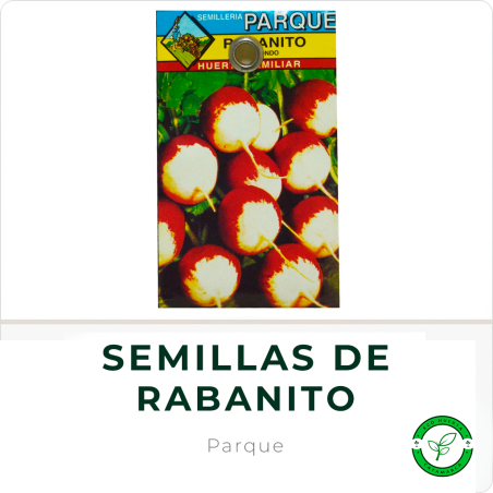 Semillas de Rabanito Parque