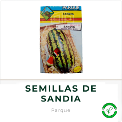 Semillas de Sandía Dixie Queen Parque