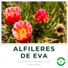 Alfileres de Eva