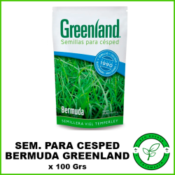 Semillas para Césped Bermuda Greenland x 100 grs