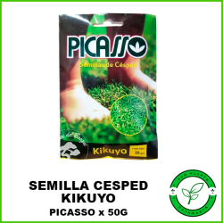 Semillas de Césped Kikuyo Picasso x 50 grs