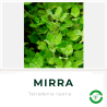 Mirra