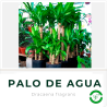 Palo de Agua 3L