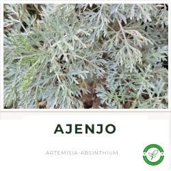 Ajenjo