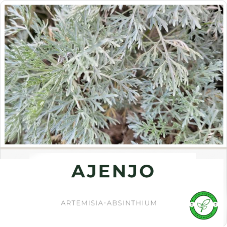 Ajenjo