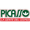 Picasso